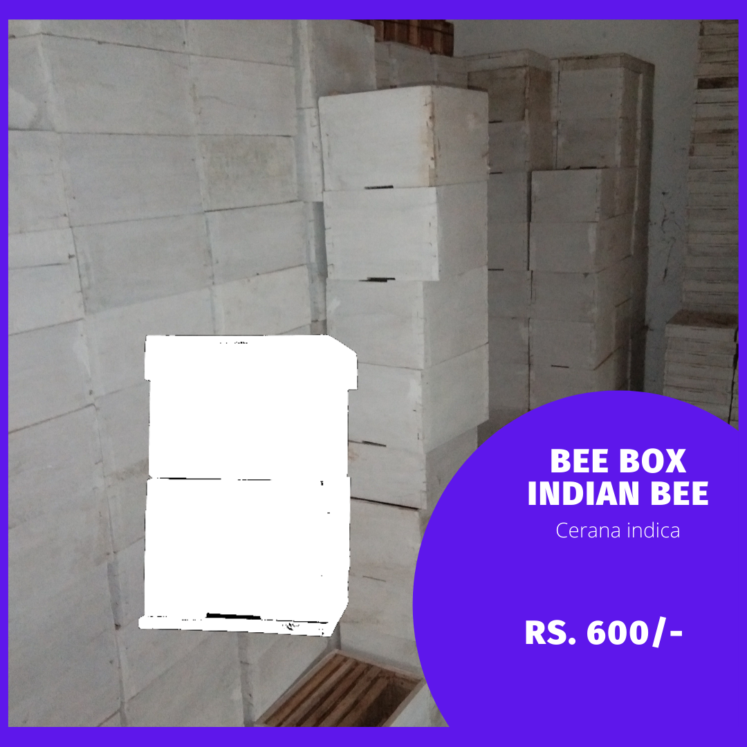 Indian beebox