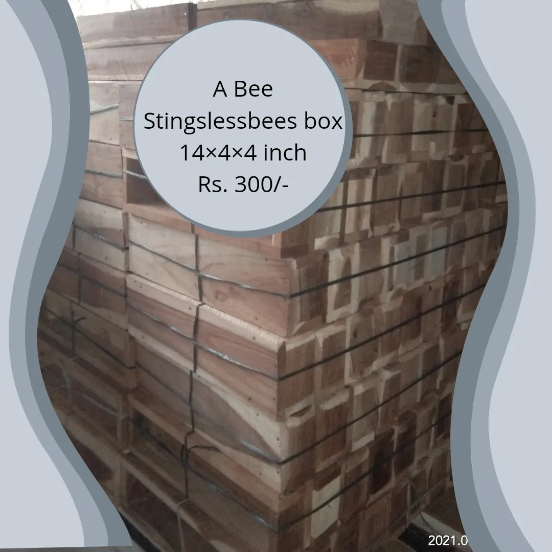 Stingless bee box